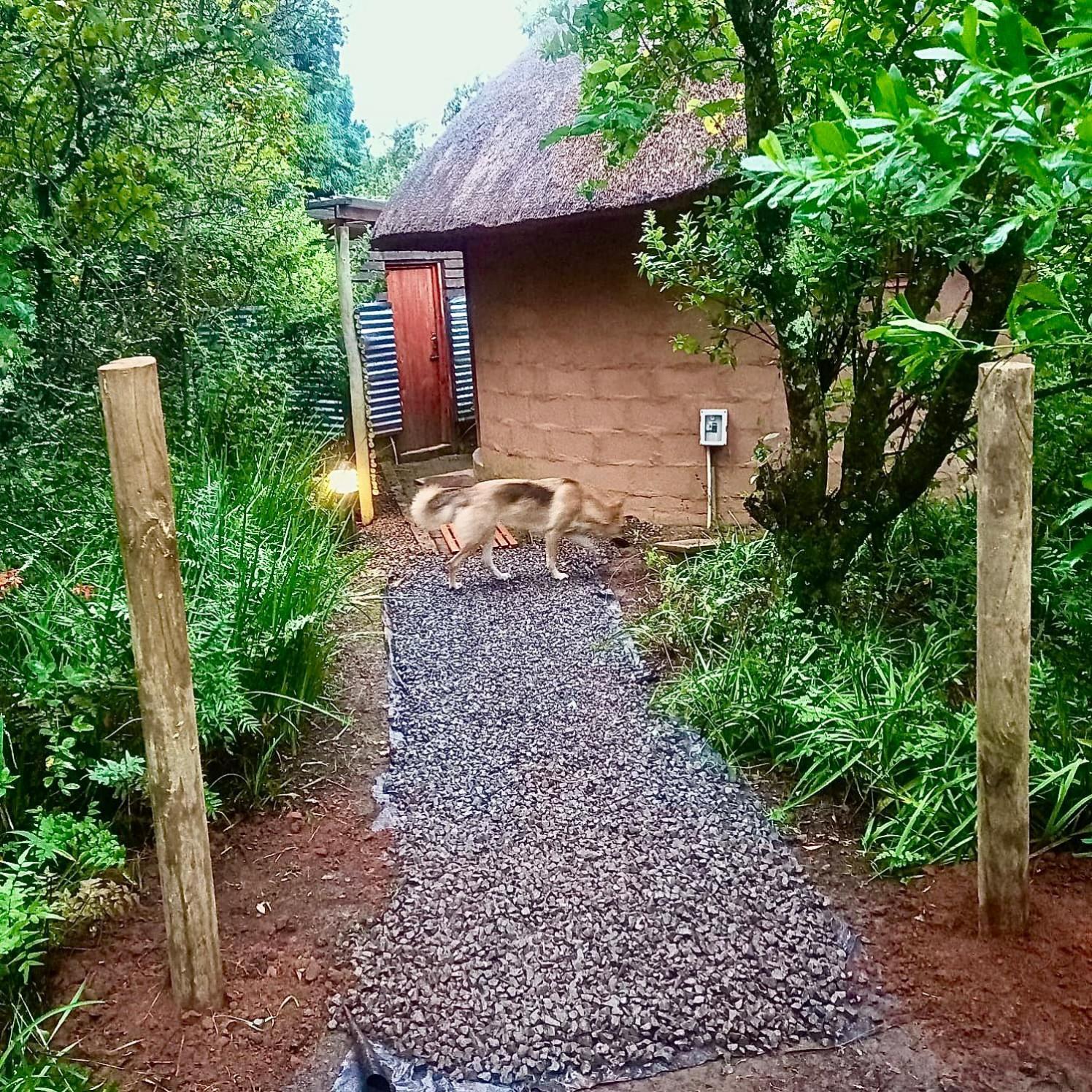 Drakensberg Inkosana Lodge Champagne Valley エクステリア 写真
