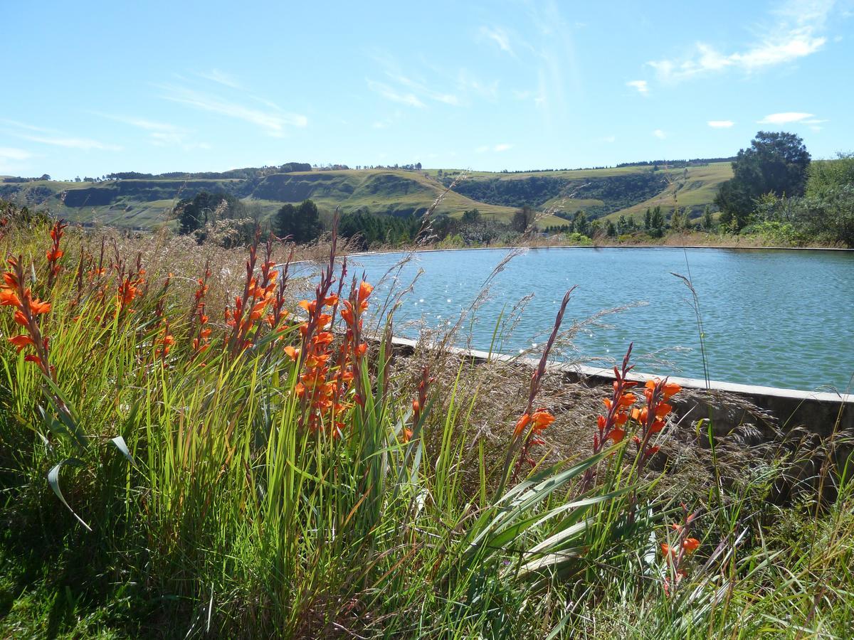 Drakensberg Inkosana Lodge Champagne Valley エクステリア 写真