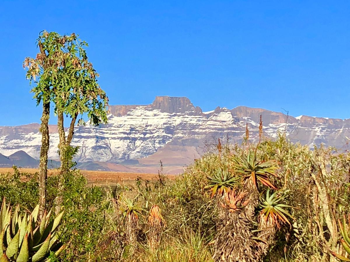 Drakensberg Inkosana Lodge Champagne Valley エクステリア 写真